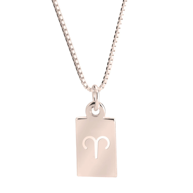 Delicate Zodiac Necklace